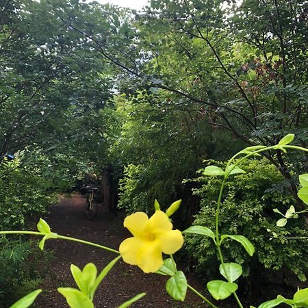 Forest Villa Nature Resort Анурадхапура Экстерьер фото