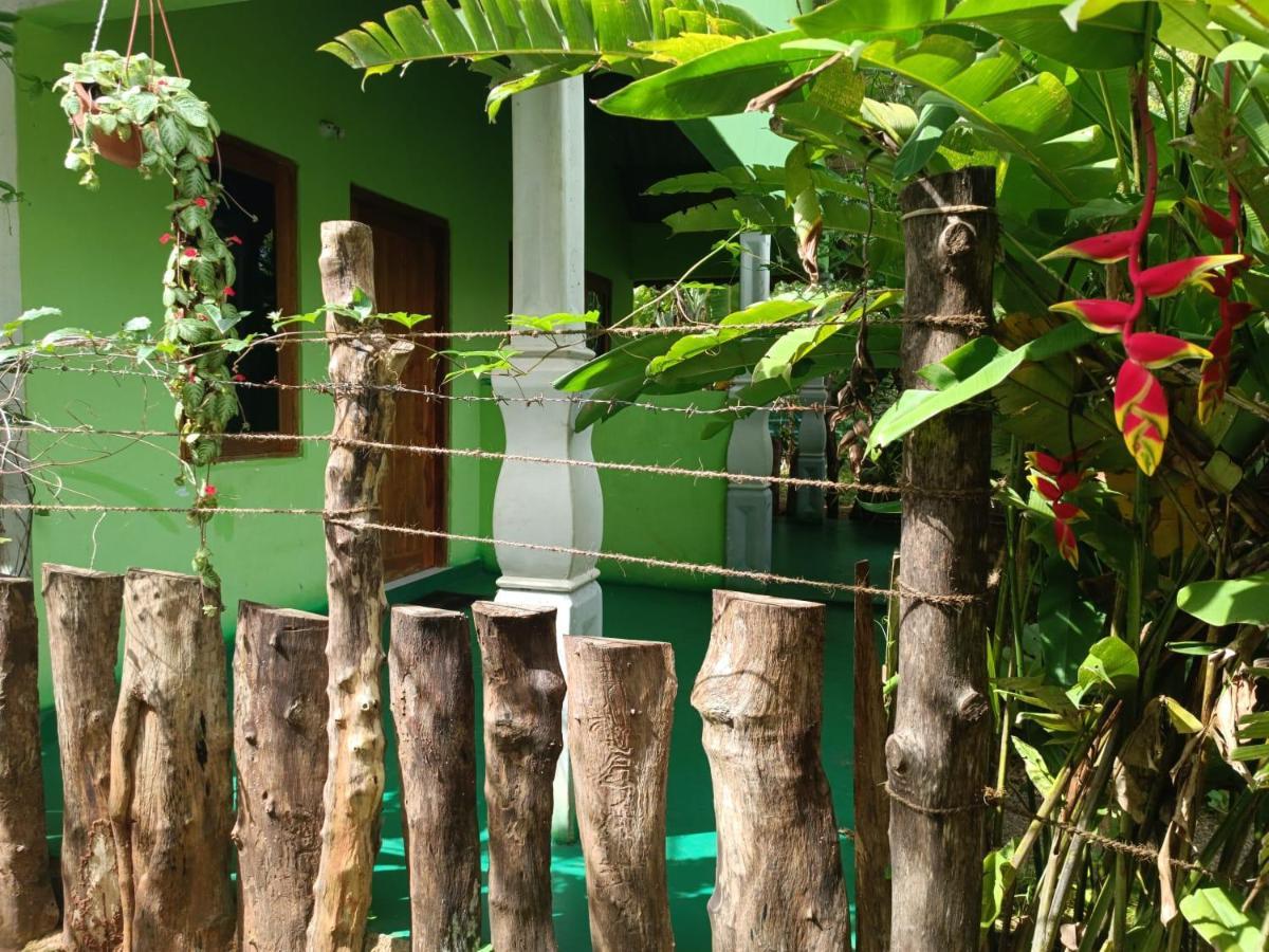 Forest Villa Nature Resort Анурадхапура Экстерьер фото