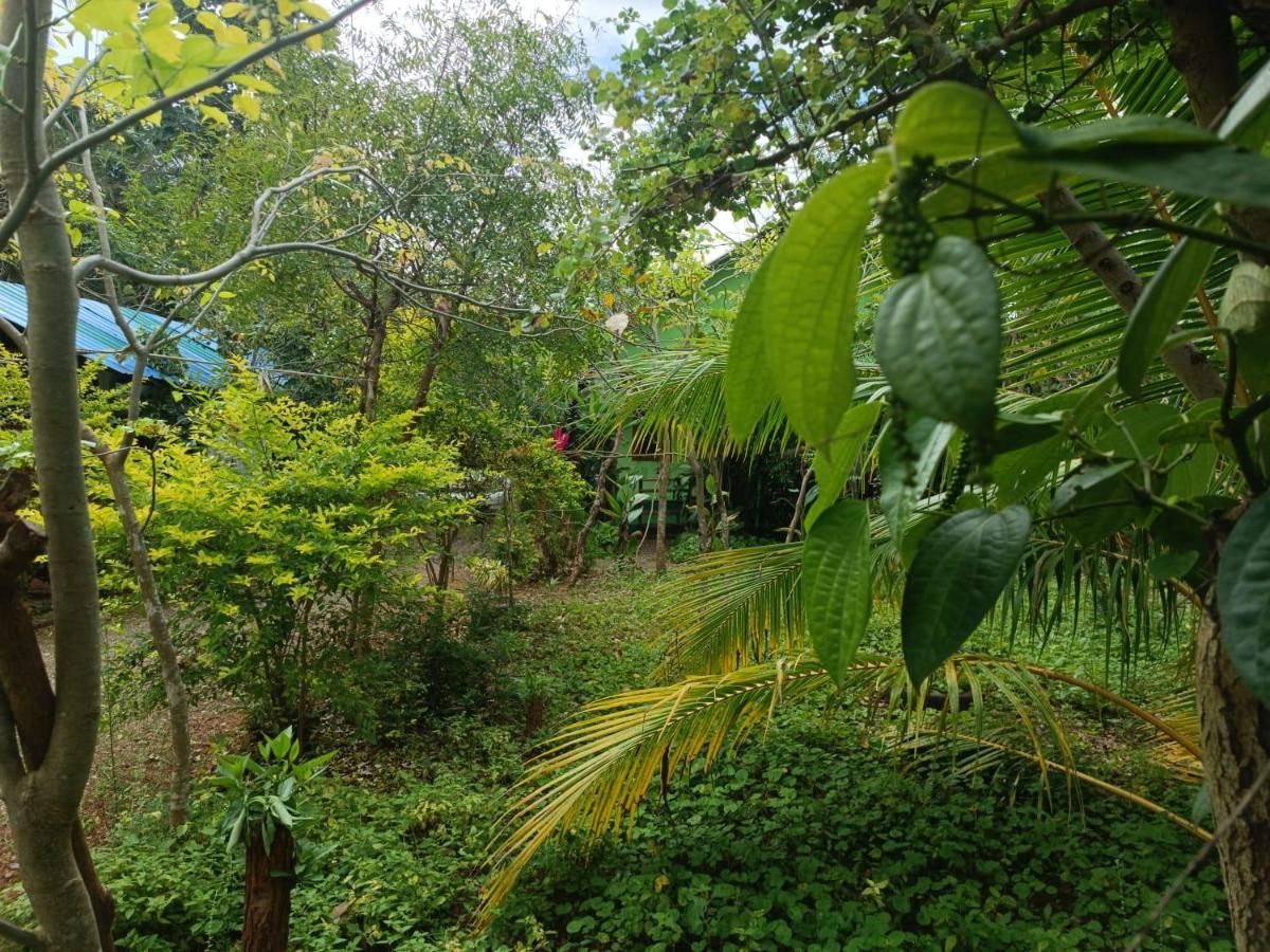 Forest Villa Nature Resort Анурадхапура Экстерьер фото