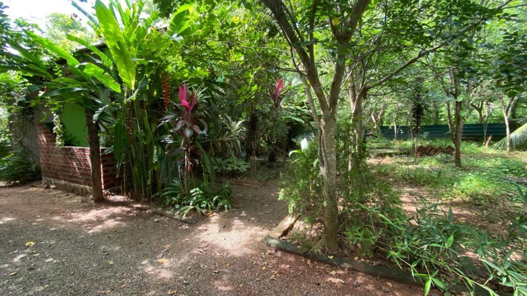 Forest Villa Nature Resort Анурадхапура Экстерьер фото