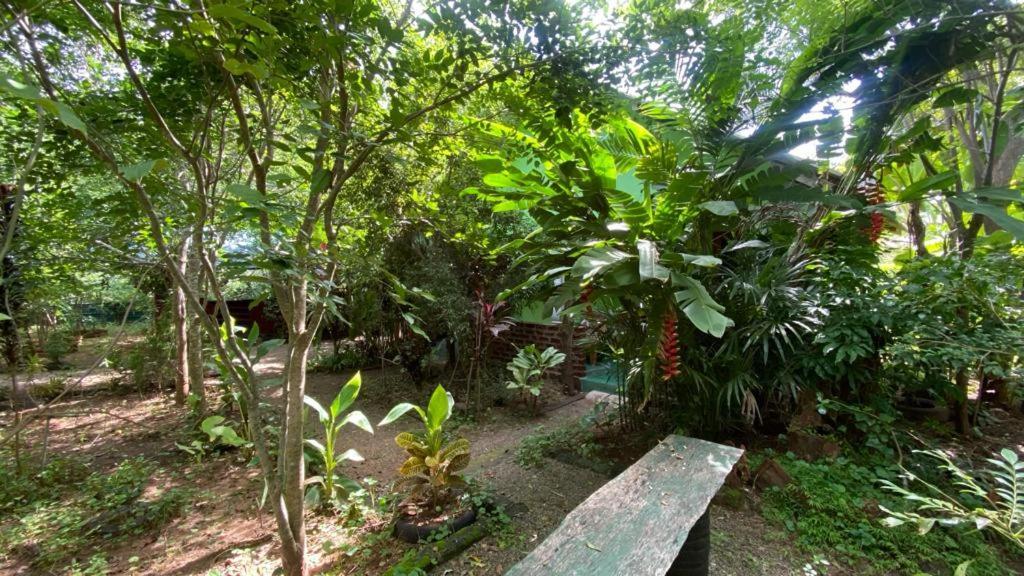 Forest Villa Nature Resort Анурадхапура Экстерьер фото
