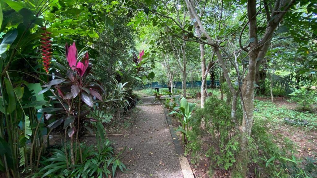 Forest Villa Nature Resort Анурадхапура Экстерьер фото