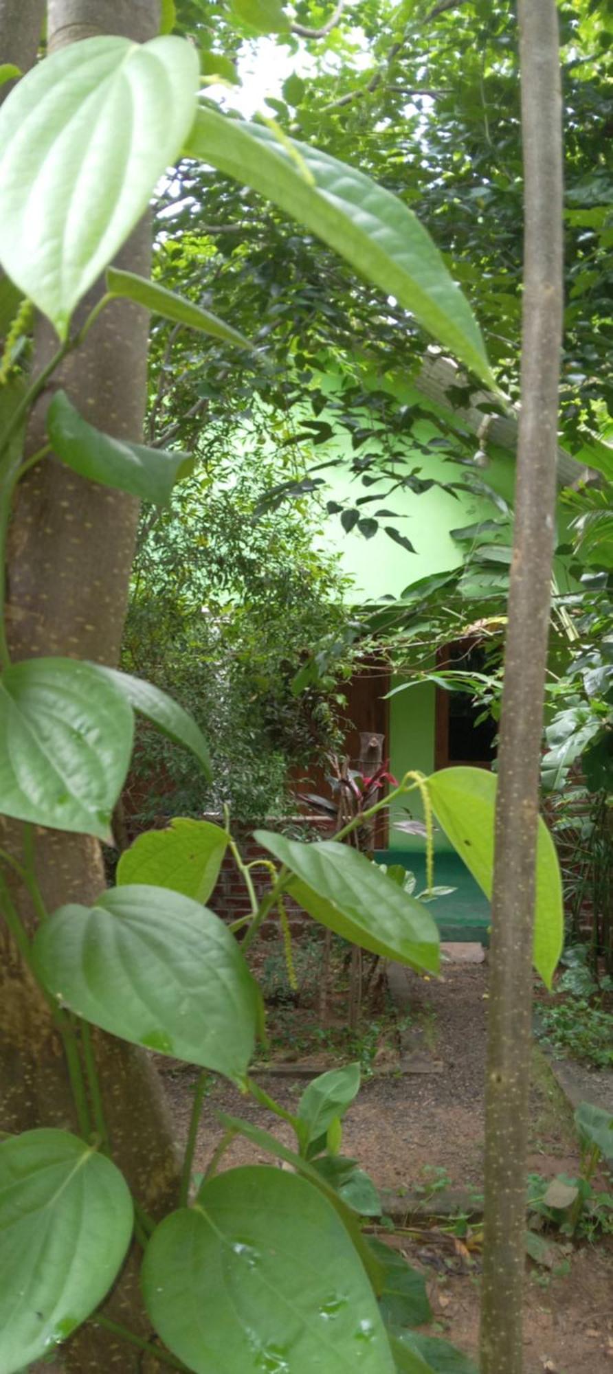Forest Villa Nature Resort Анурадхапура Экстерьер фото