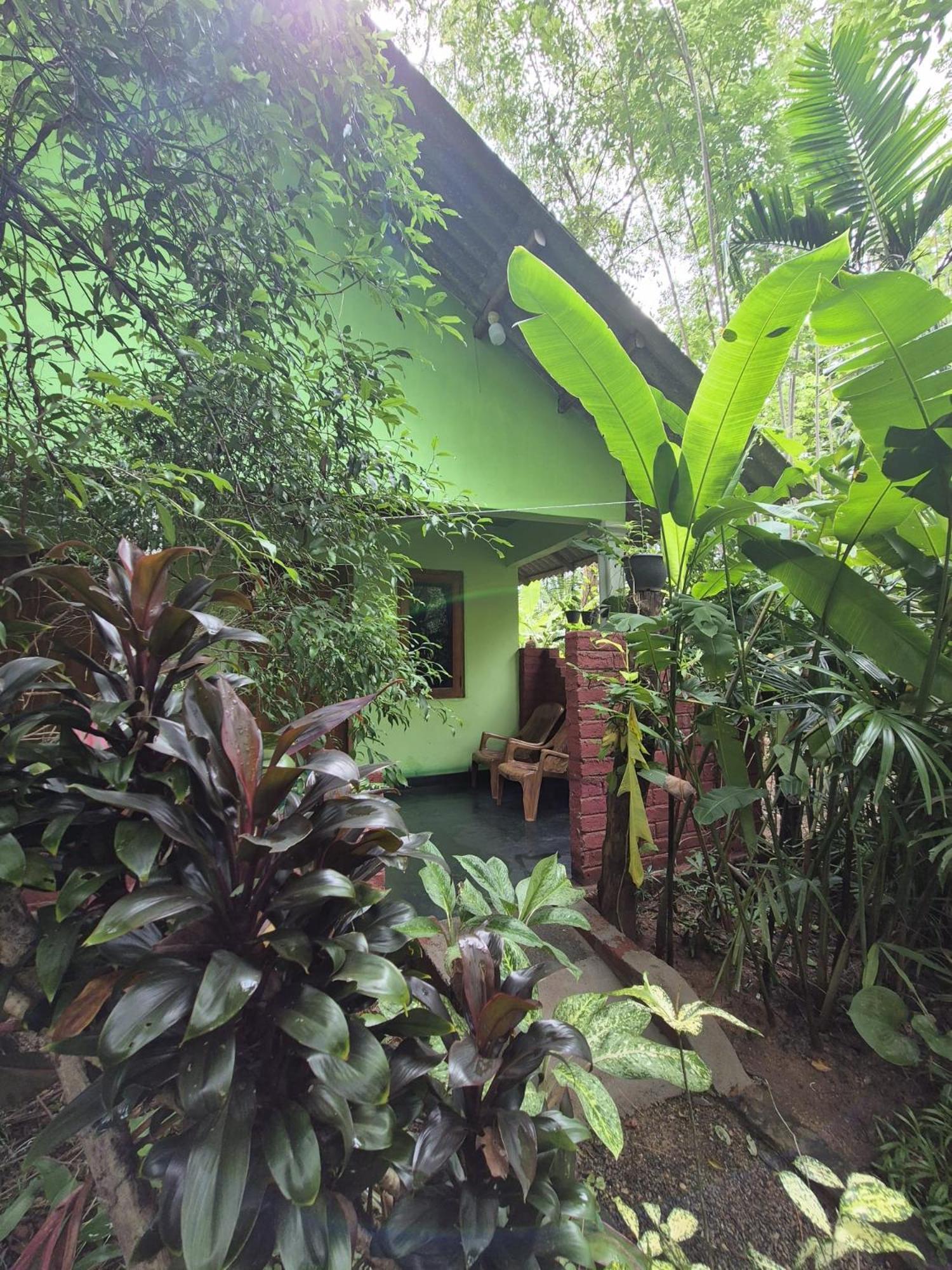 Forest Villa Nature Resort Анурадхапура Экстерьер фото